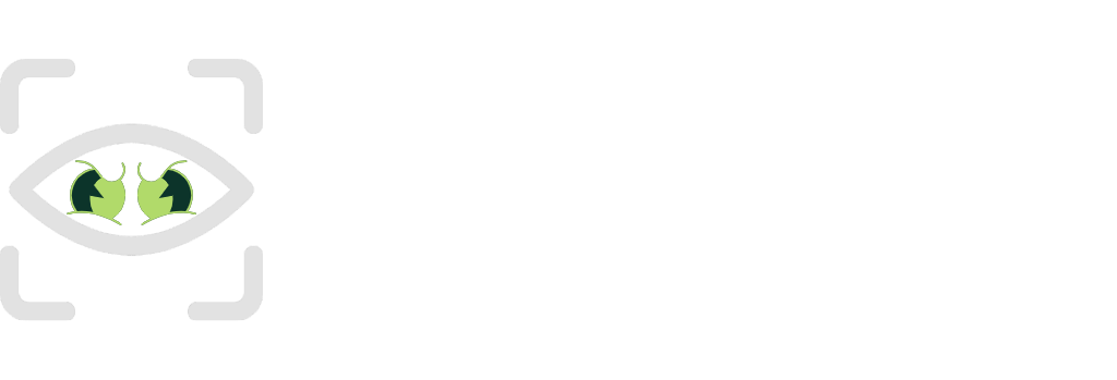 PhishEye